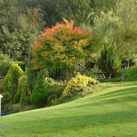 Bryn Hebog Bed & Breakfast Carmarthen Exterior photo