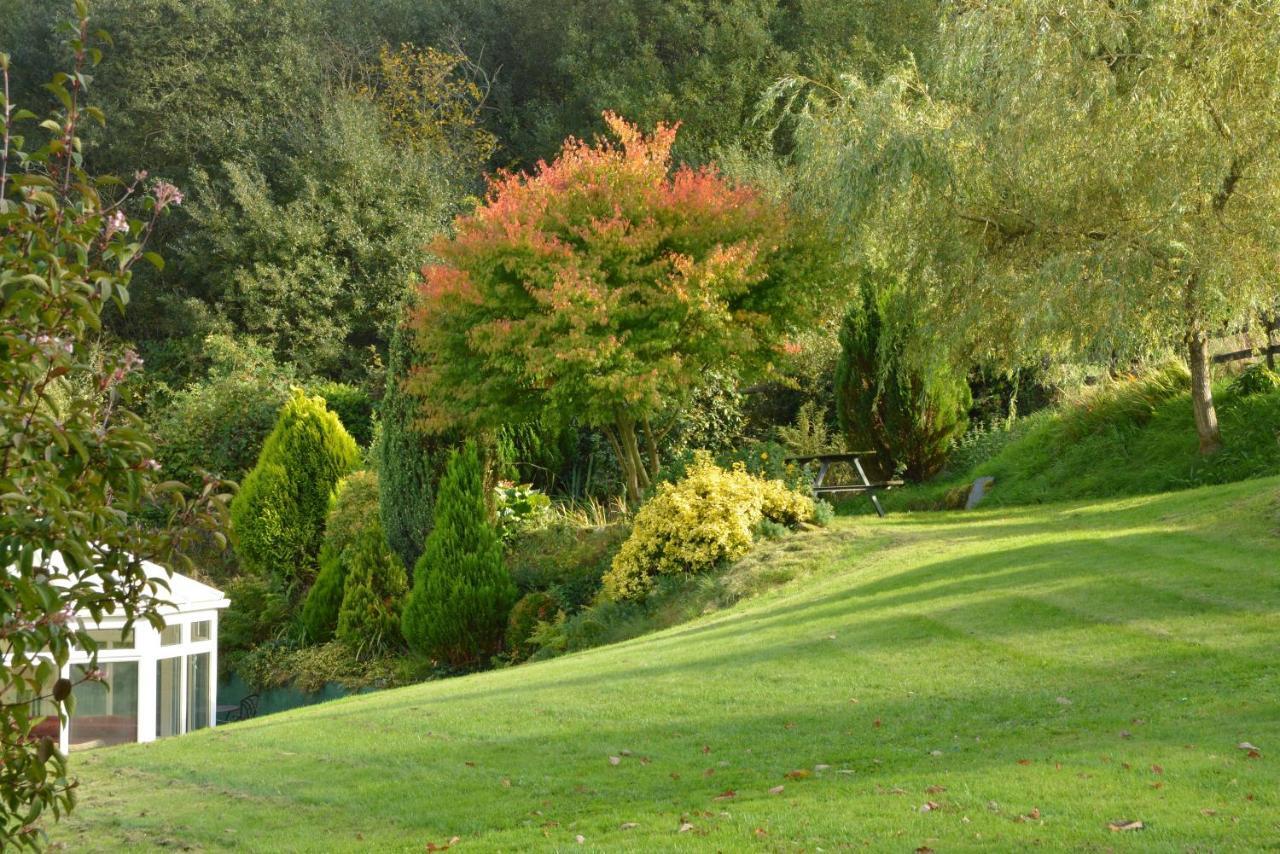 Bryn Hebog Bed & Breakfast Carmarthen Exterior photo
